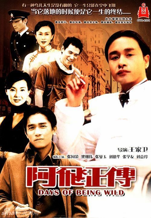 南新罕布什尔大学市场开发文凭证书